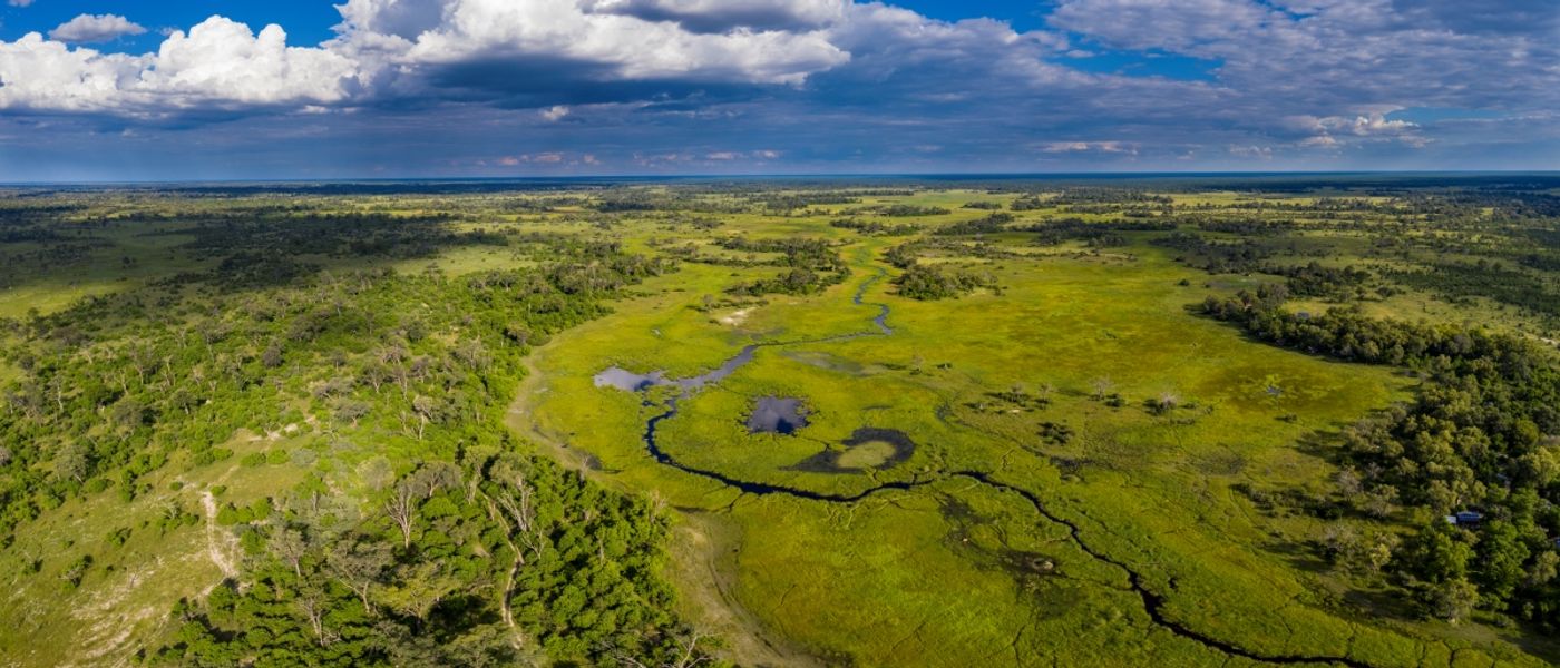 10 Reasons the Green Season Makes for an Extraordinary Botswana Safari