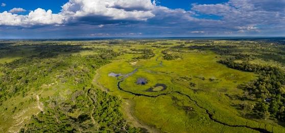 10 Reasons the Green Season Makes for an Extraordinary Botswana Safari