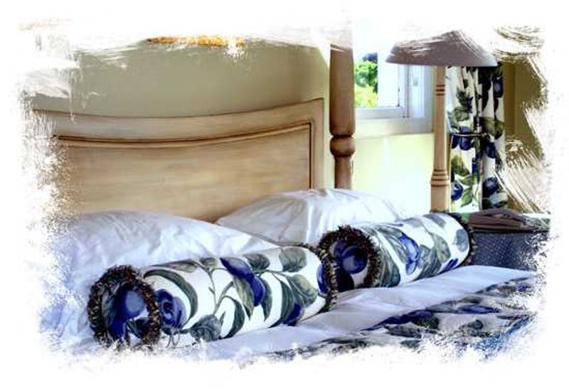 Win with Rhino Africa and Summerwood Guesthouse