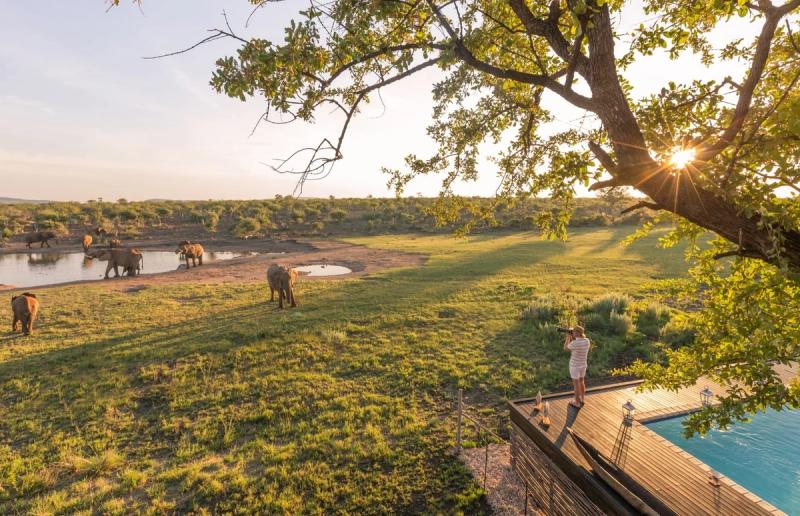 Elephants gathering at a waterhole beside the pool deck at Jamala Madikwe Royal Safari Lodge.
