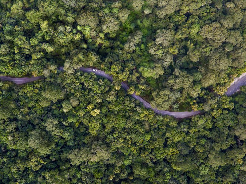 Ein Teil der Garden Route, die sich durch einen grünen Wald schlängelt aus der Vogelperspektive