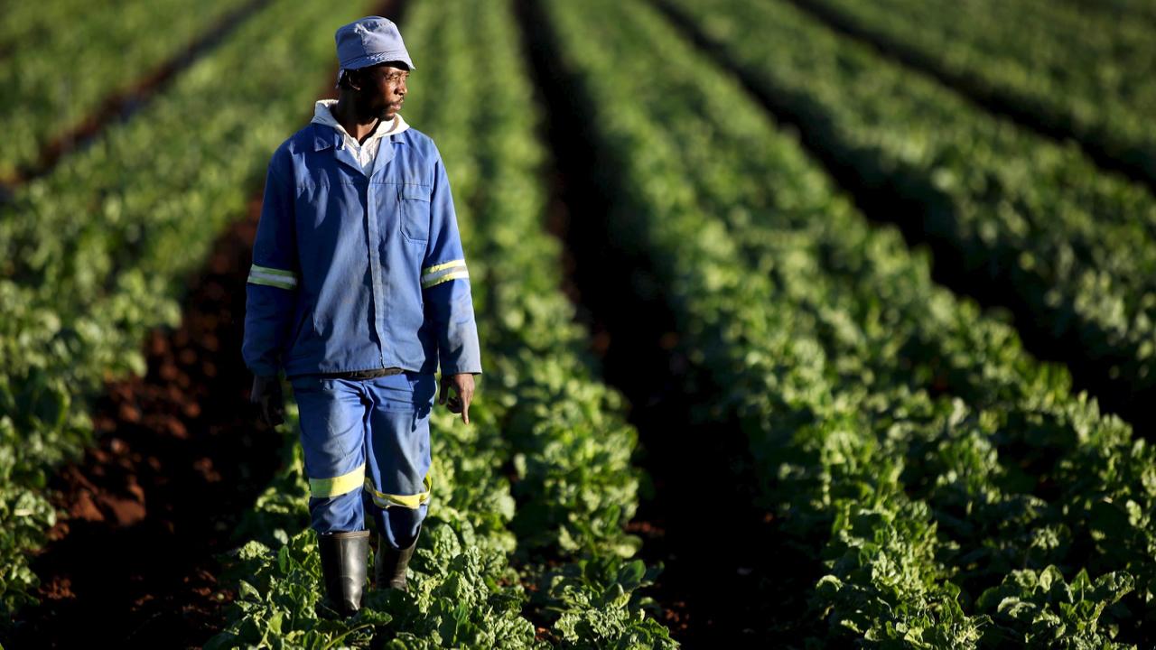 Expropriation des terres : quelles conséquences sur votre voyage ?