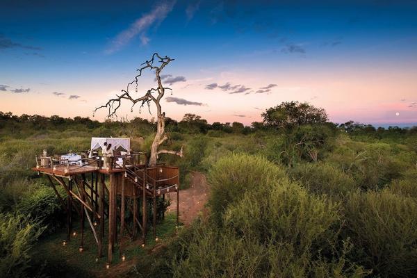 Romantic Safari and Honeymoon Experiences in Africa