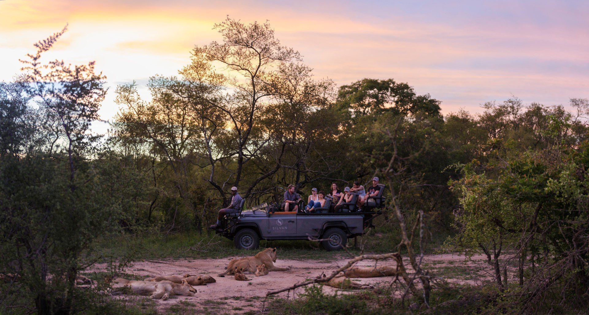 A Week of Unbelievable Silvan Wildlife Sightings: Silvan Safari Blog