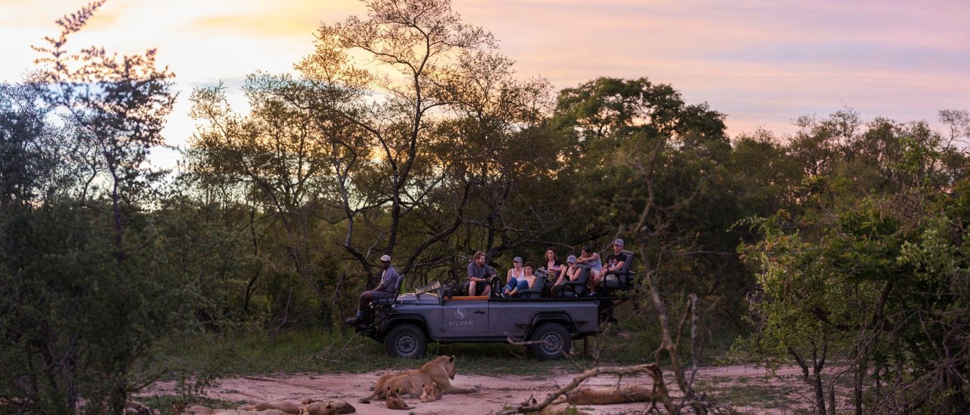 A Week of Unbelievable Silvan Wildlife Sightings: Silvan Safari Blog