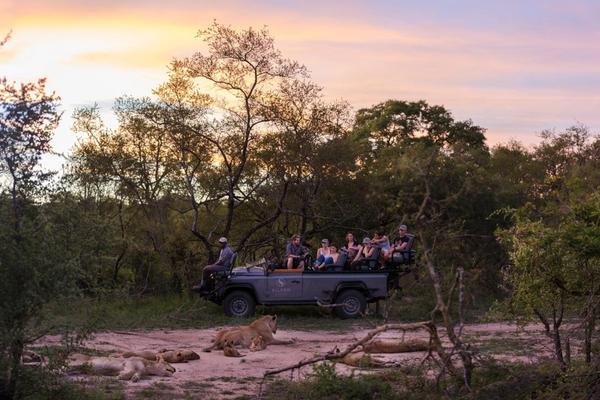 Crashing a Party at Luxury Silvan Safari - Rhino Africa Style