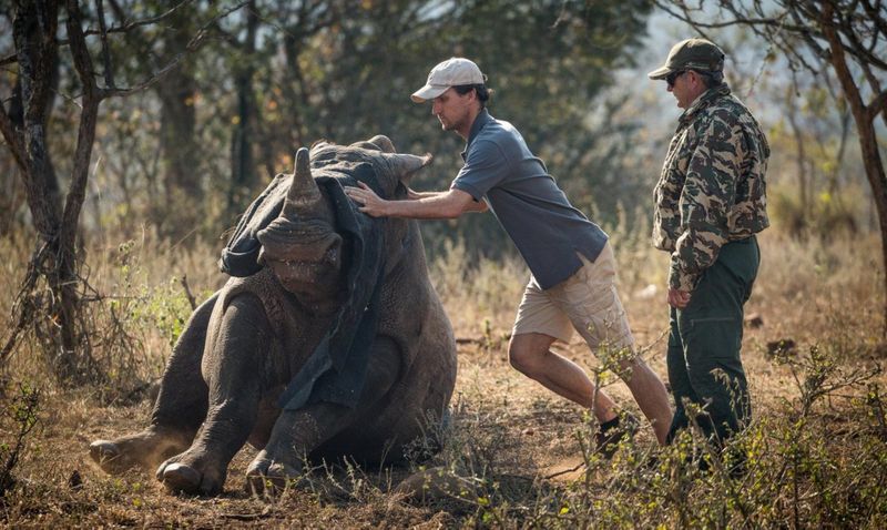 Wildlife ACT ist einer der wichtigsten Tierschutzpartner von Rhino Africa