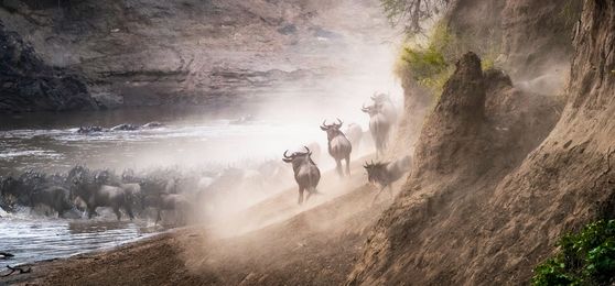 Von 7 bis 70: Auf Safari mit der ganzen Familie