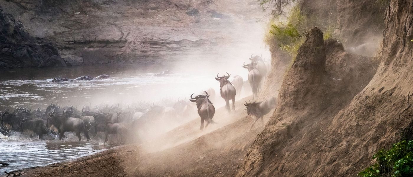 Von 7 bis 70: Auf Safari mit der ganzen Familie