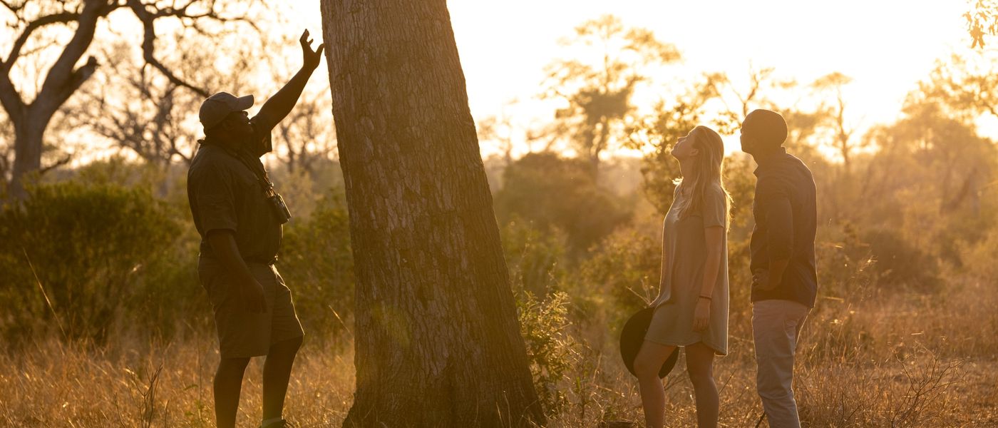 FAQs About African Safaris