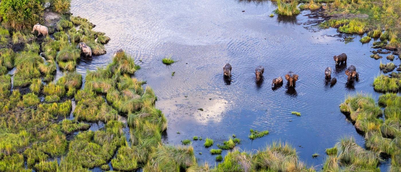 Why Botswana is a Safari of Firsts