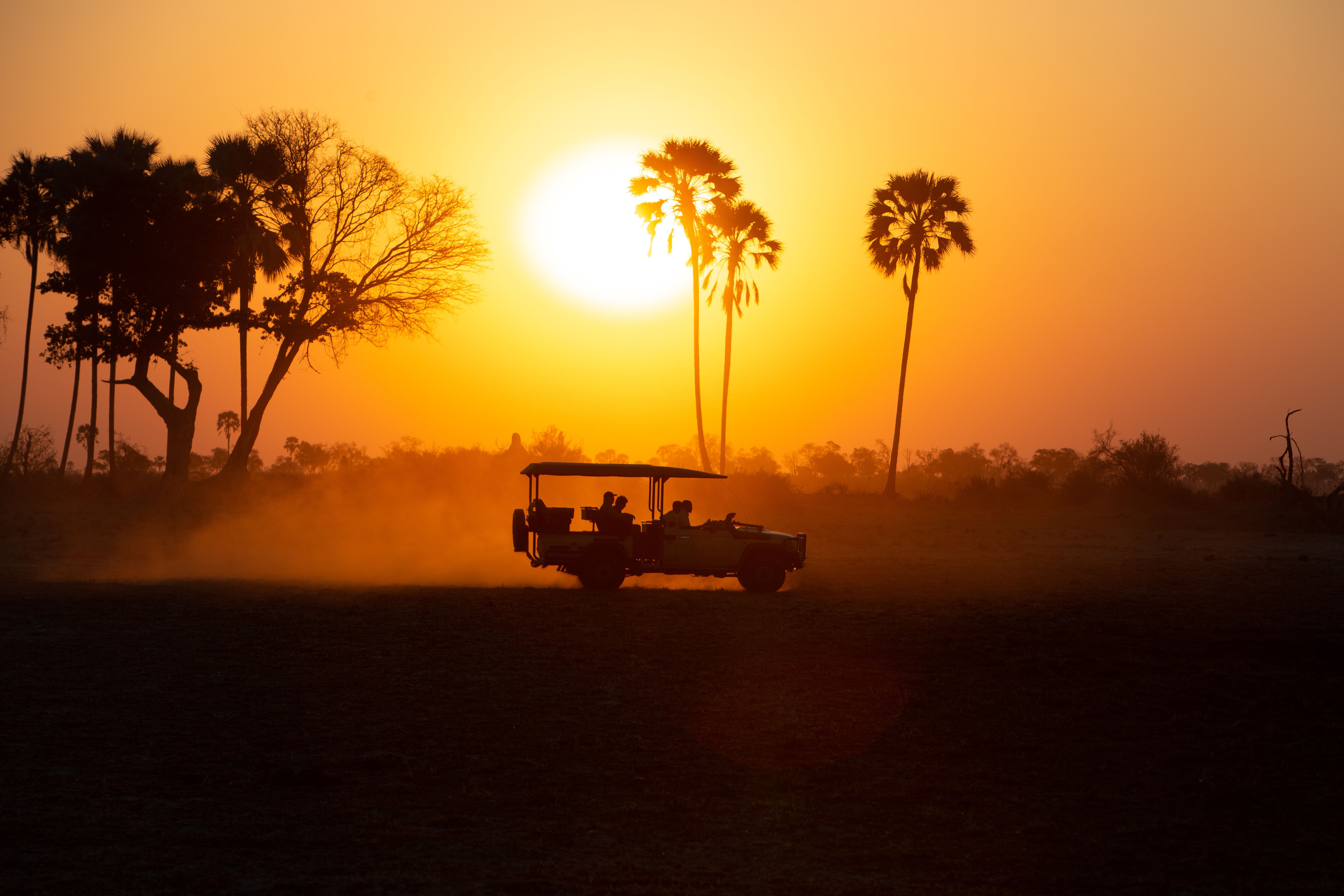 Our Top African Safari Tours for 2023