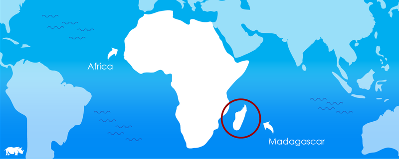 An Africa Map indicating Madagascar