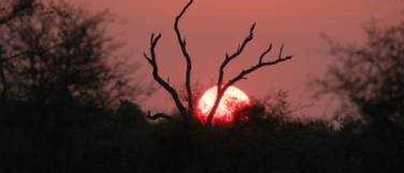 Singita - Game Experience