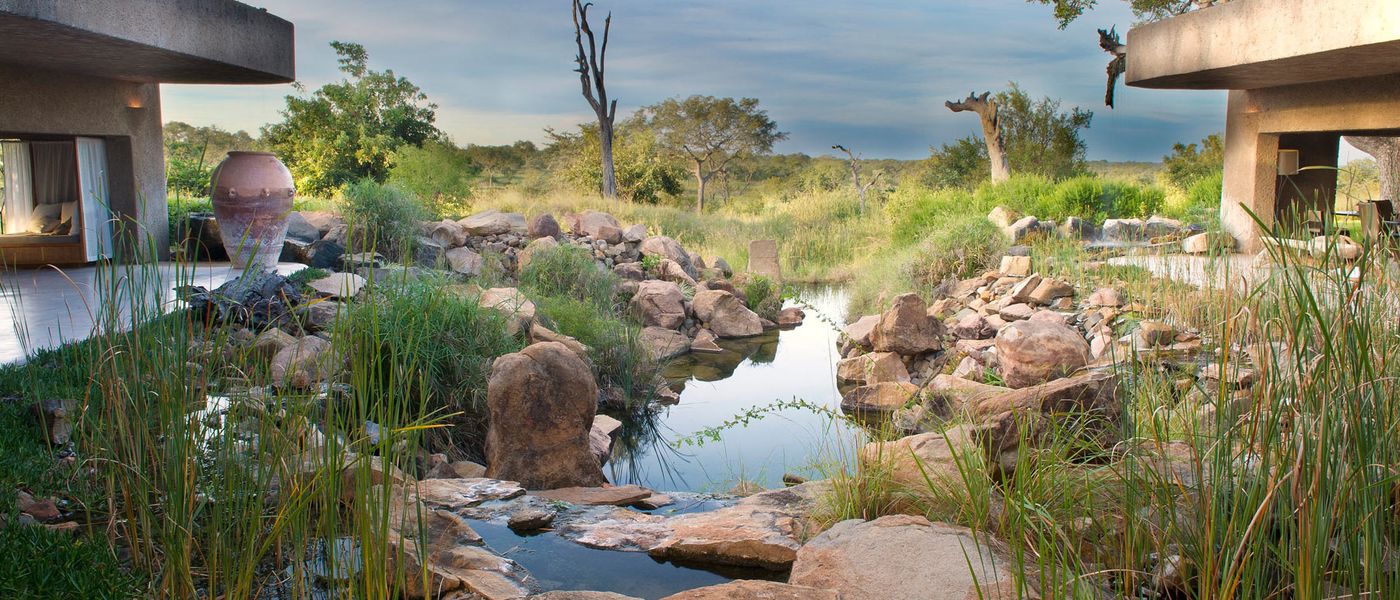 Blend into the Bush: Safari at Sabi Sabi Earth Lodge