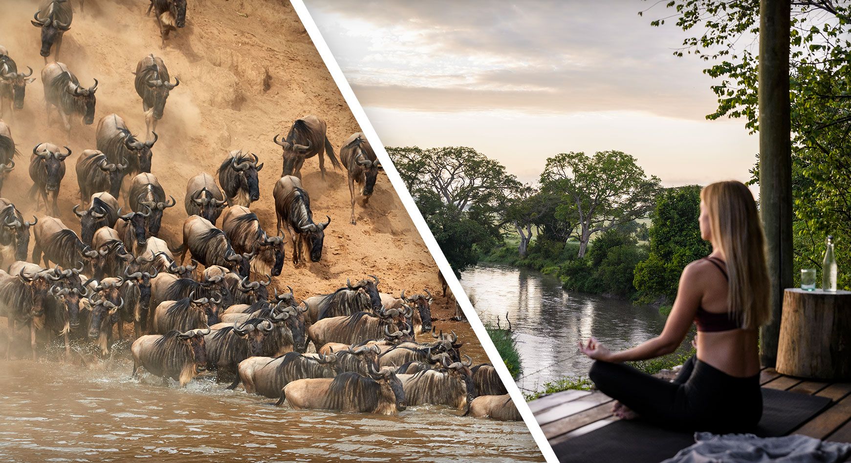 Wildebeest and Wellness Safari in Africa