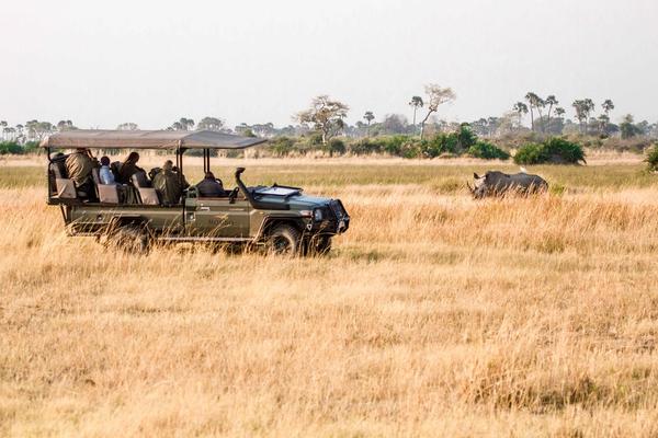 Luxury African Safari Travel Trends in 2025