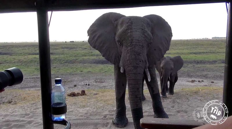 Our hardy explorers continued on to Botswana