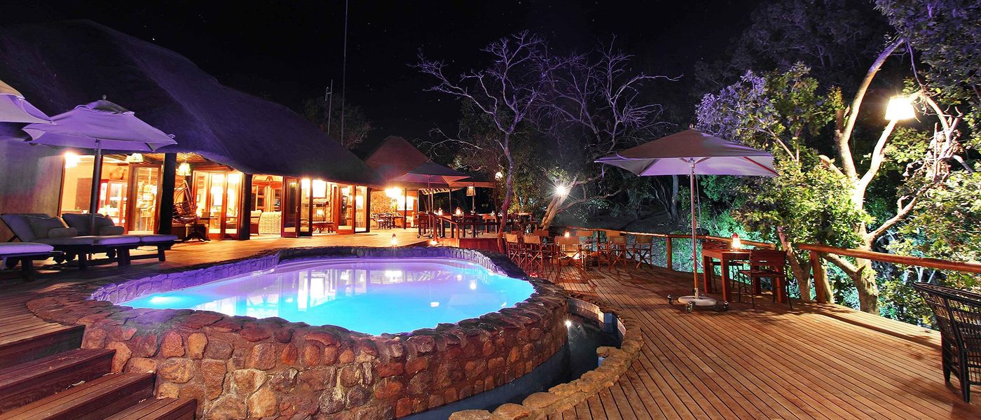 Safari perto de Joanesburgo | Portfólio The Residence