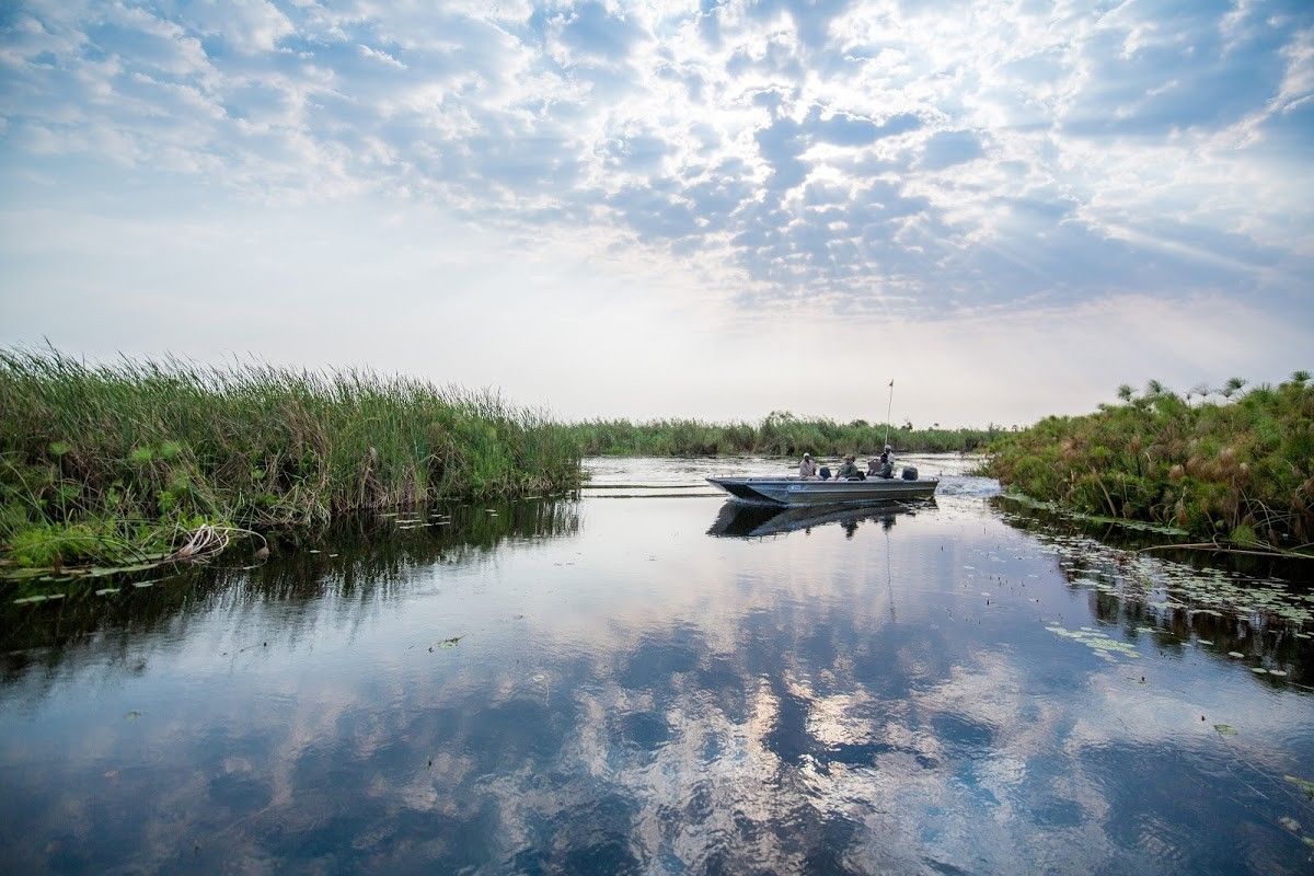 12 überraschende Fakten übers Okavango Delta