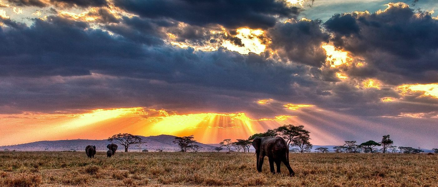 12 Reasons Why Africa Will Blow Your Mind