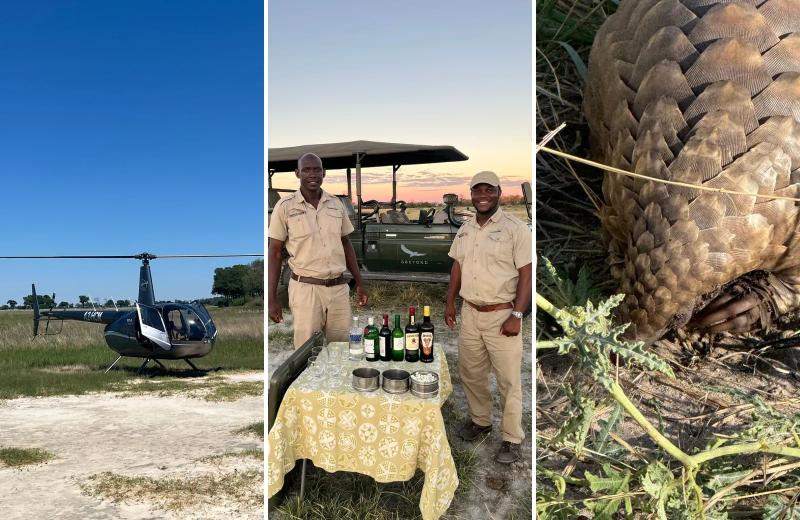 Traslado de helicóptero, guias de safári e um avistamento raro de pangolim em Botsuana.