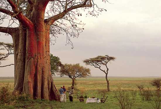 Yellow Fever Vaccinations now required for travel to Zambia