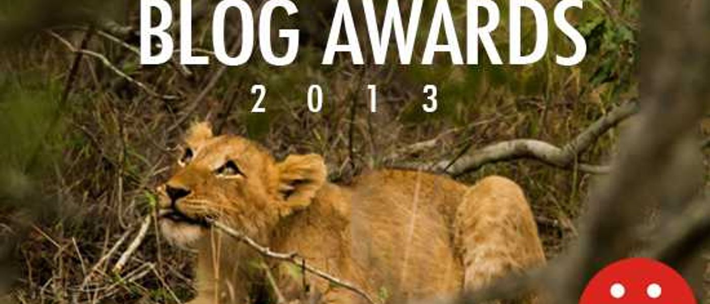 South African Blog Awards 2013