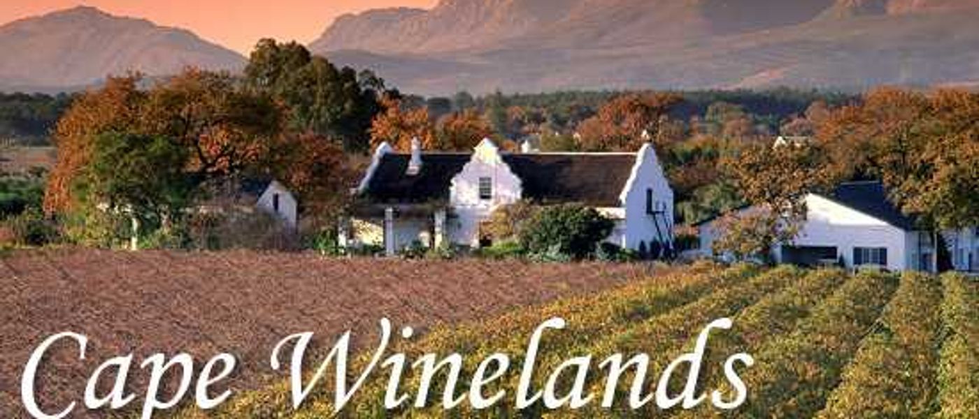 The Cape Winelands - Santé!