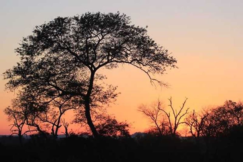 Beautiful Sunrise