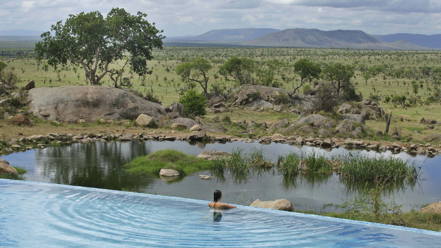 HBO’s "The White Lotus" Season 4: Why the Serengeti Could Be Its Most Explosive Setting Yet