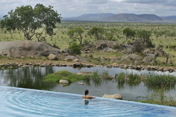 HBO’s "The White Lotus" Season 4: Why the Serengeti Could Be Its Most Explosive Setting Yet