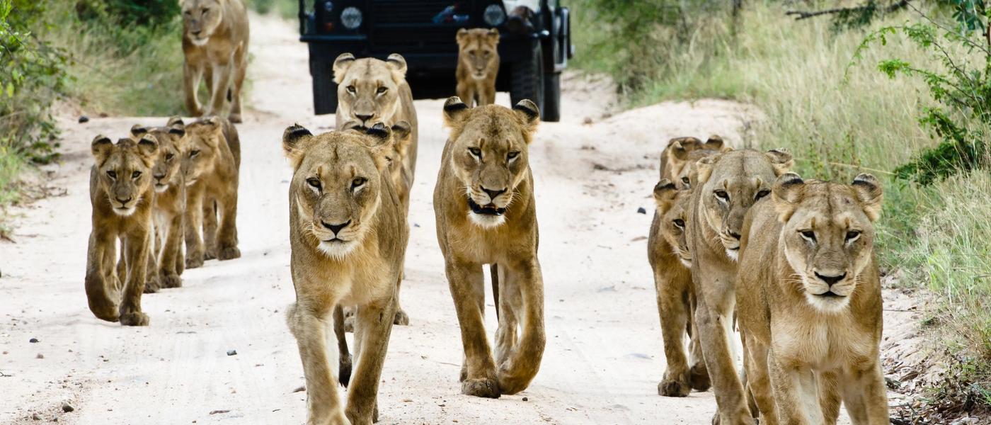 Greater Kruger Area für die ganze Familie