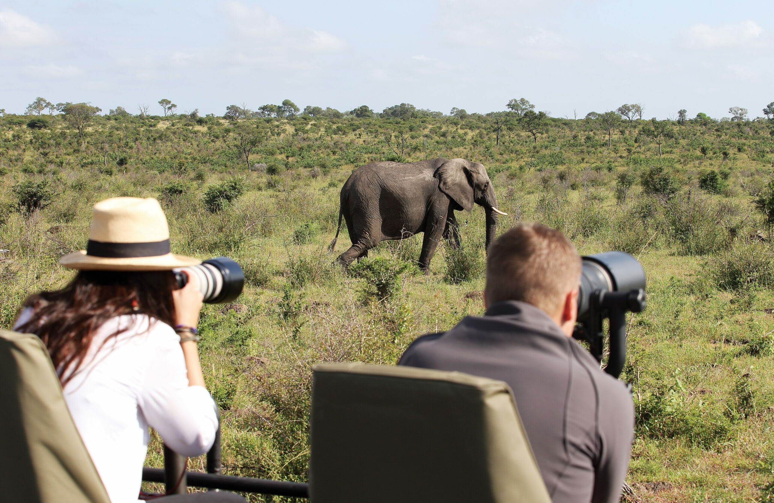 Mastering Safari Photography: Top Tips for Striking Shots