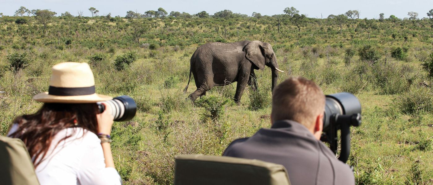 Mastering Safari Photography: Top Tips for Striking Shots