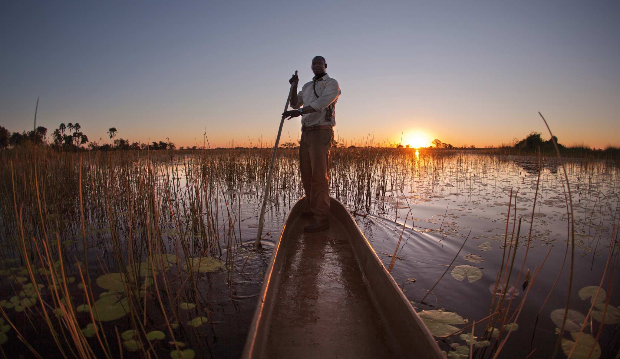 Les 3 meilleurs lodges safari écologiques en Afrique