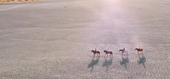 Außergewöhnliche Safaris in Afrika