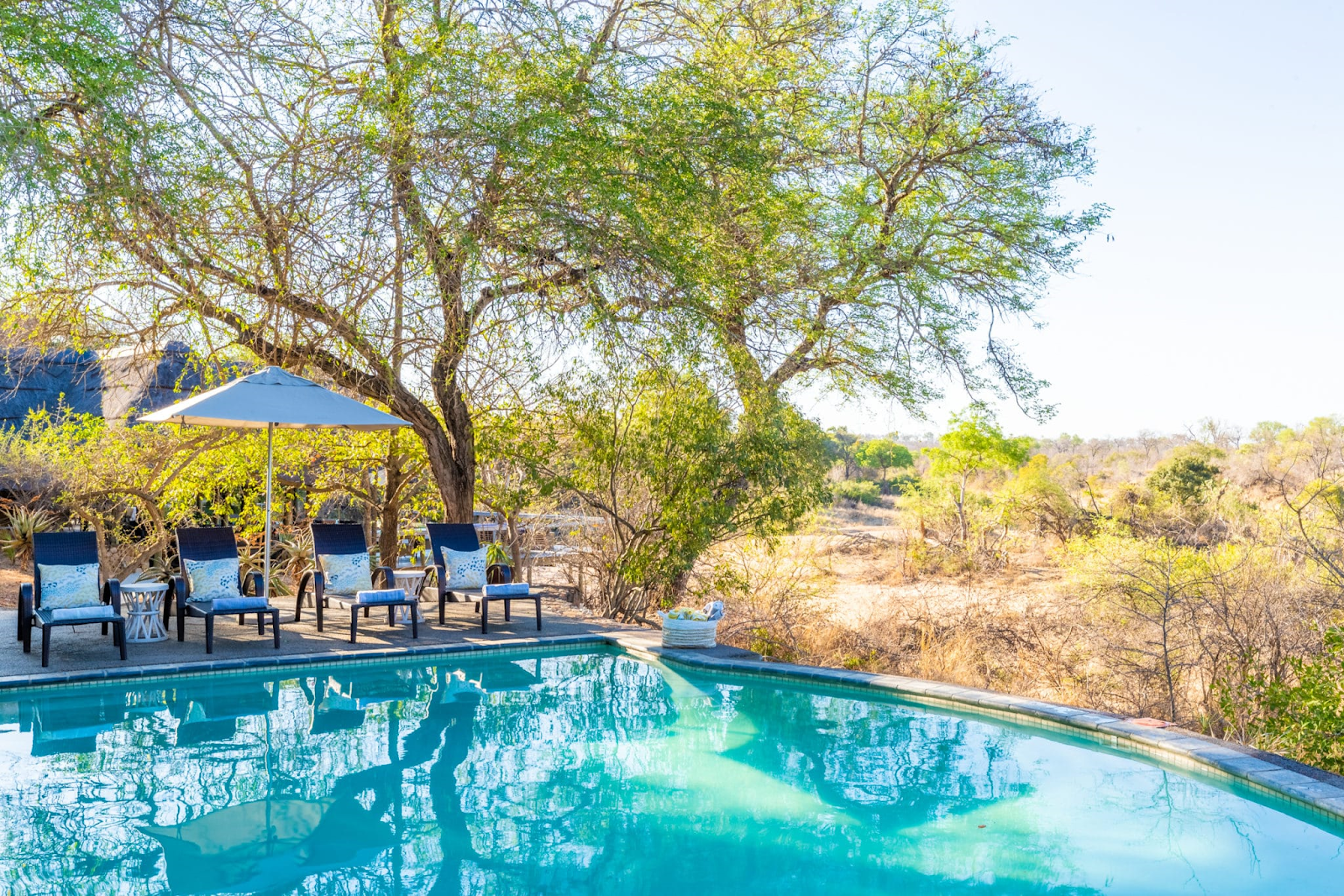 Thornybush Game Lodge ‎| Review 2021