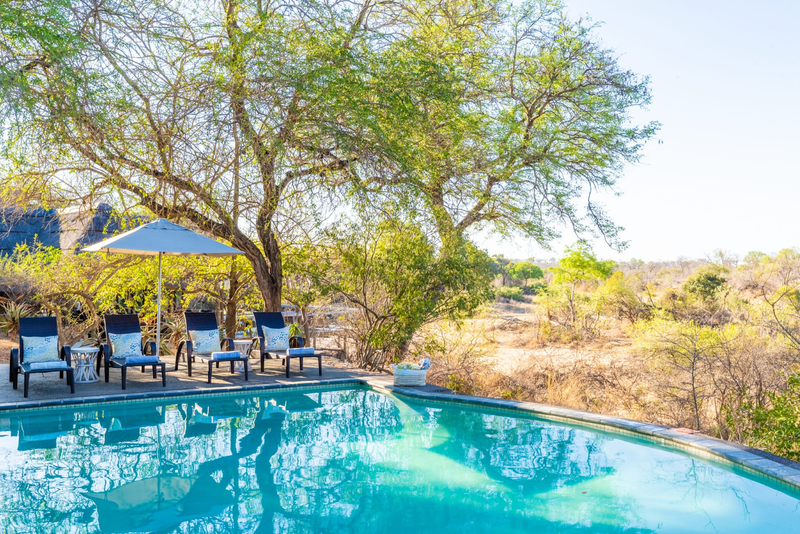 Pool with bush views at Thornybush Game Lodge