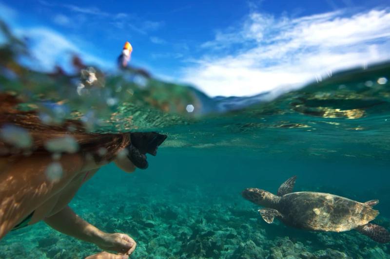 Snorkelling with sea turtles in the Indian Ocean