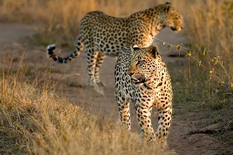 Randy Harris Photography