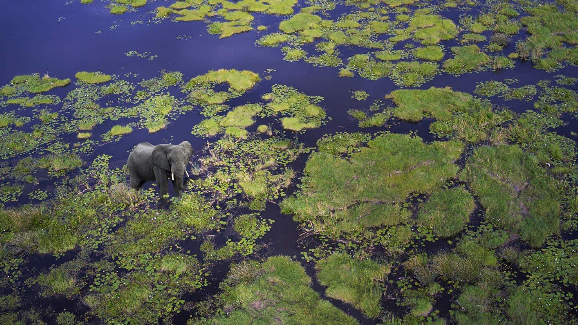 Myths, Miracles and Mysteries: The Okavango River Explained