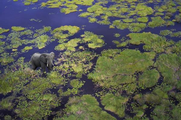 Myths, Miracles and Mysteries: The Okavango River Explained