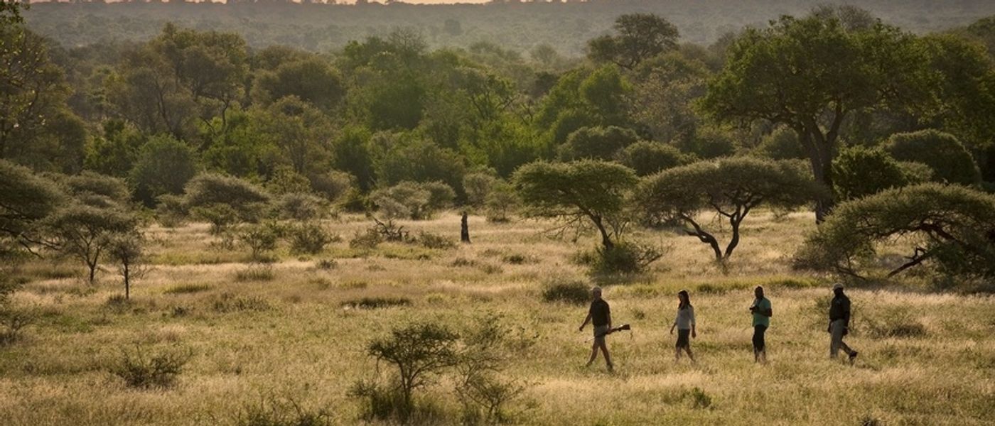 Buschwanderungen im Lion Sands Game Reserve