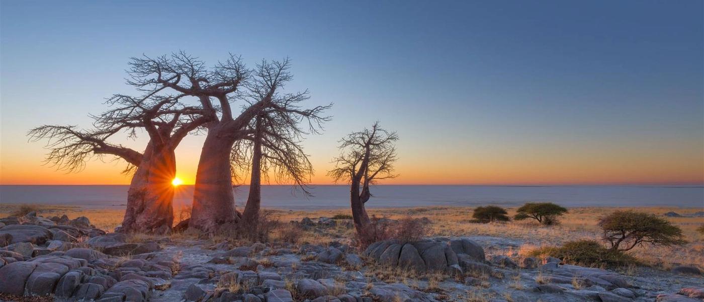 The Enigma of the Kalahari Desert: Top 5 Attractions