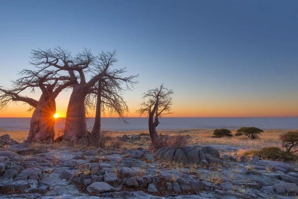 Why You Should Combine Chobe and Makgadikgadi On Your Next Botswana Safari