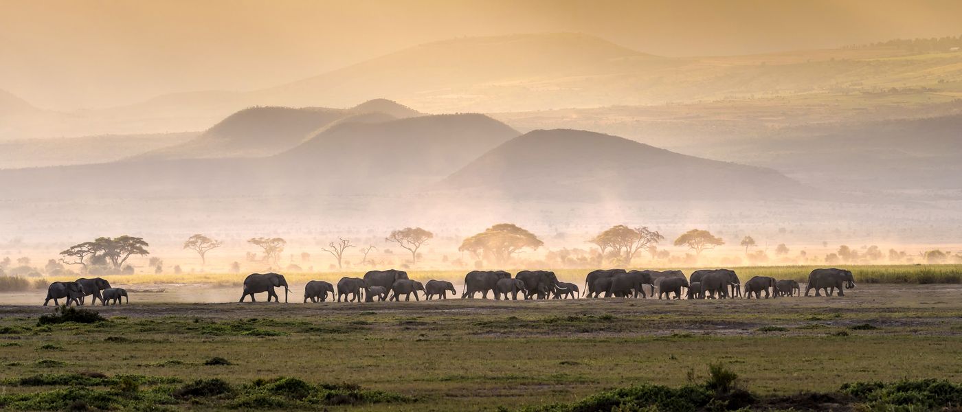 How Far in Advance Should I Book my African Safari?