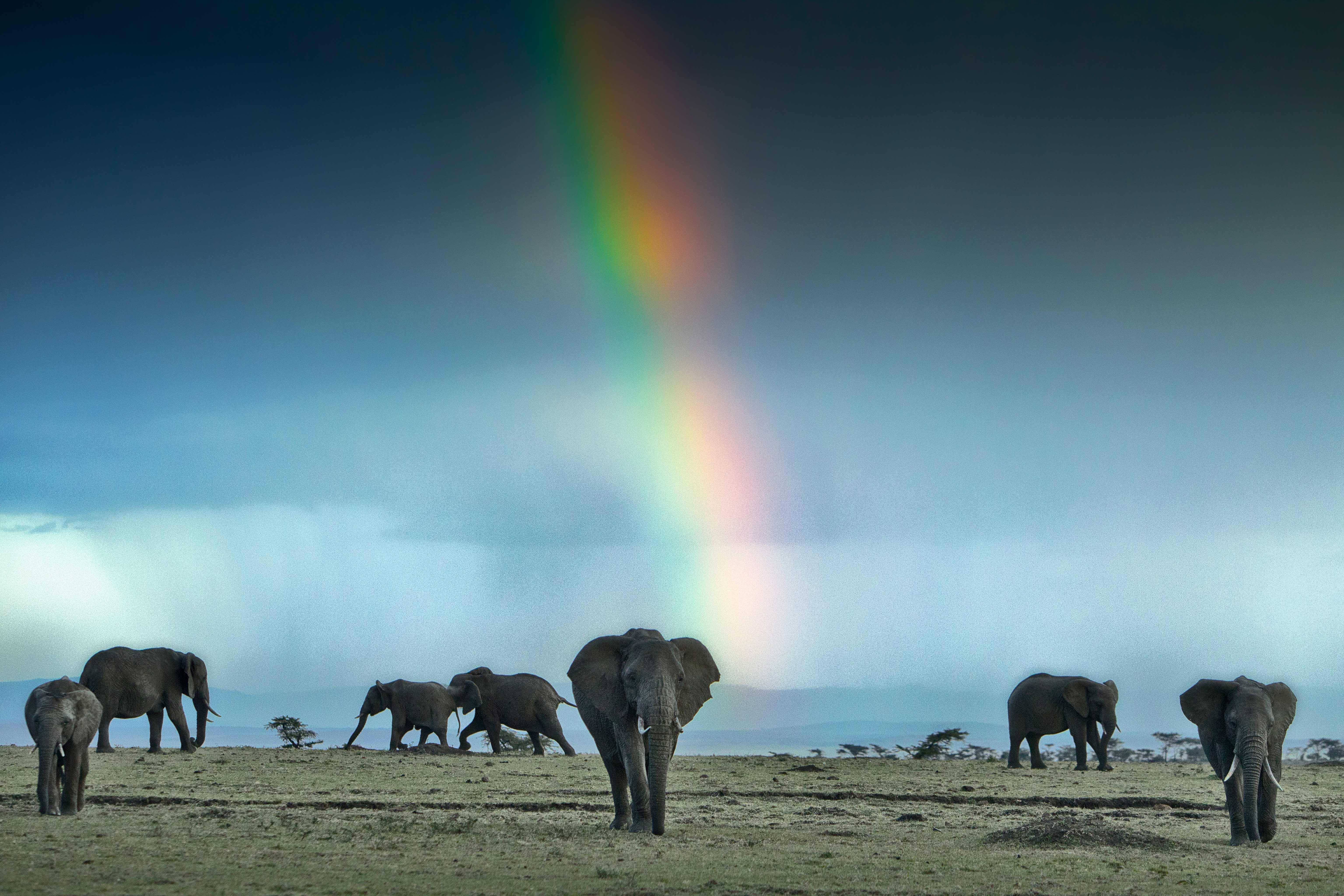 Meine Reise | Drei Top Destinationen Afrikas