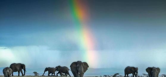 Meine Reise | Drei Top Destinationen Afrikas