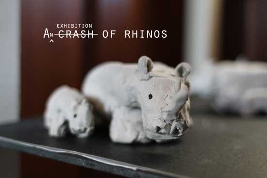 A Day With Rhinos - At Frank Joubert Art School